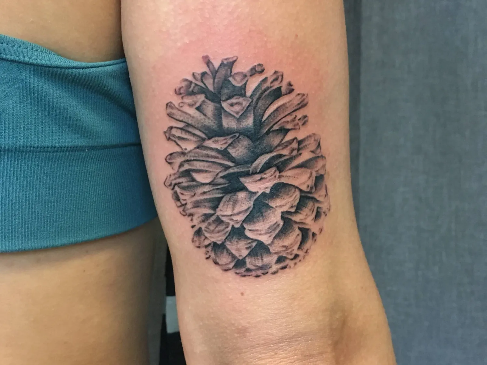 Realism tattoo of pinecone on forearm by Courtney Casteman, tattoo artist in Portland, Oregon