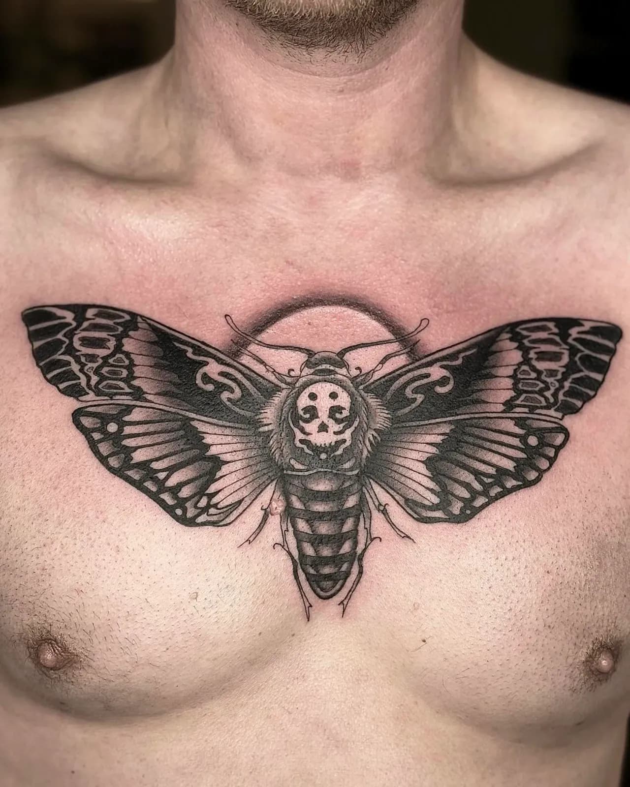 Blackwork tattoo of moth on chest by Ellie Chase, tattoo artist in Portland, Oregon