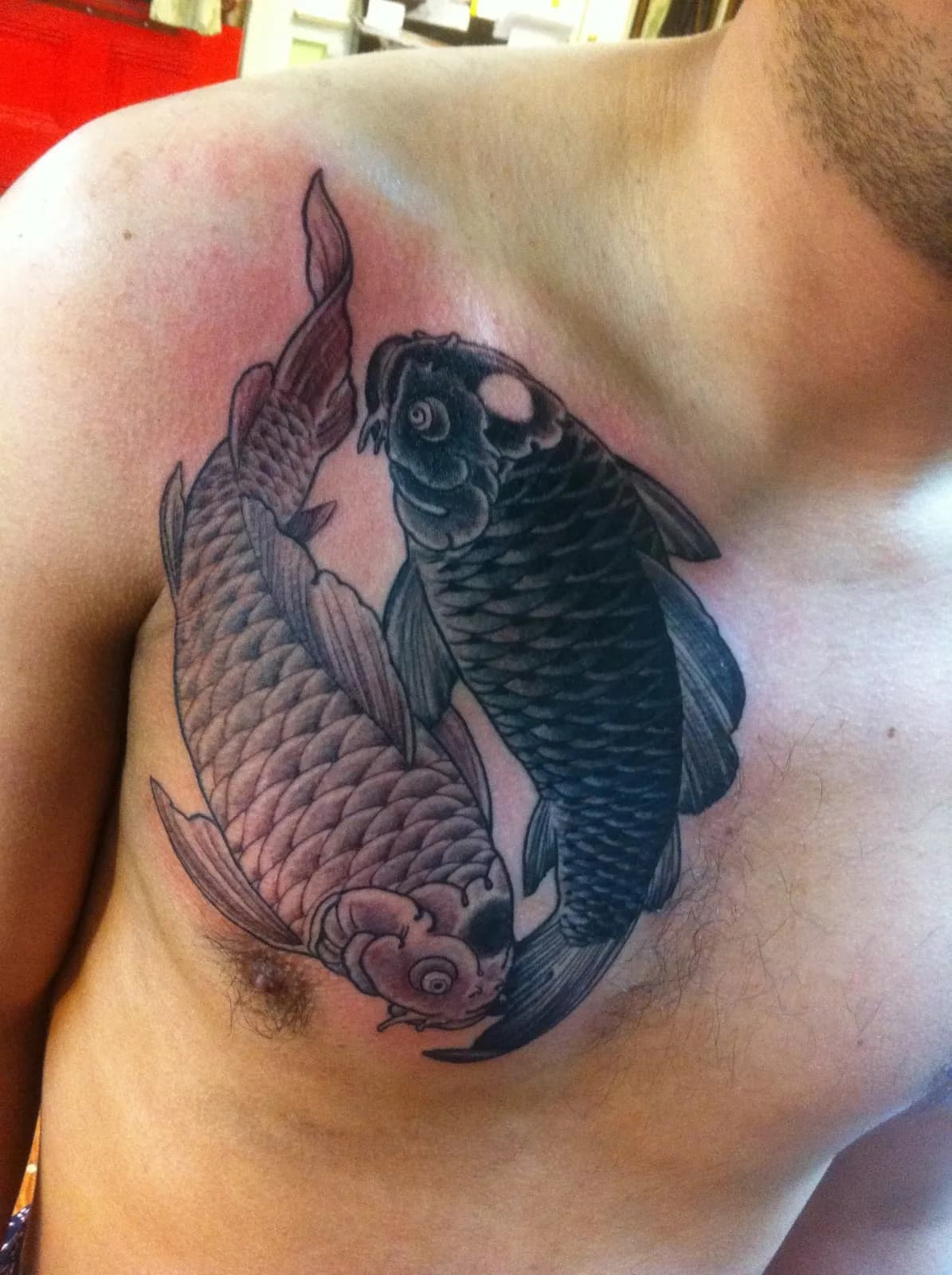Japanese tattoo of koi fish on chest by Lewis Hess, tattoo artist in Portland, Oregon