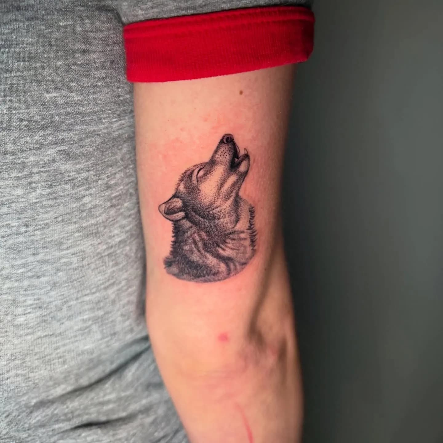 Dotwork tattoo of wolf on upper arm by Pedro, tattoo artist in Portland, Oregon