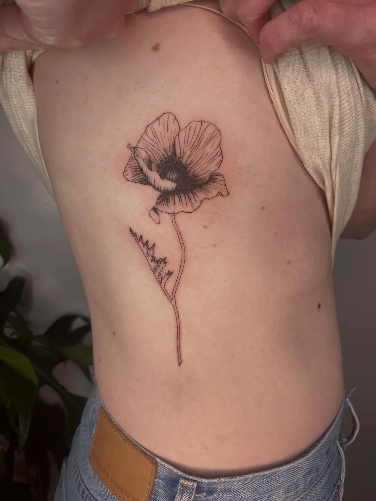 Fine-line tattoo of poppy flower on ribs by Rae Gently, tattoo artist in Portland, Oregon