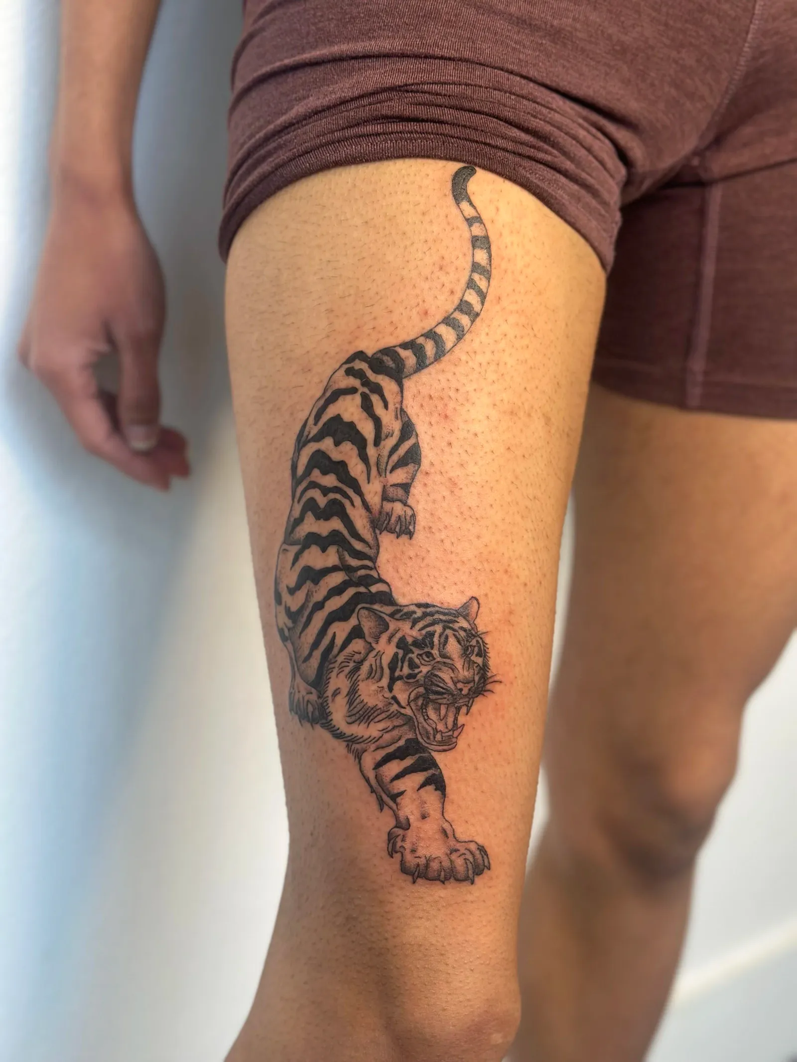 Illustrative tattoo of tiger on thigh by Sadie, tattoo artist in Portland, Oregon